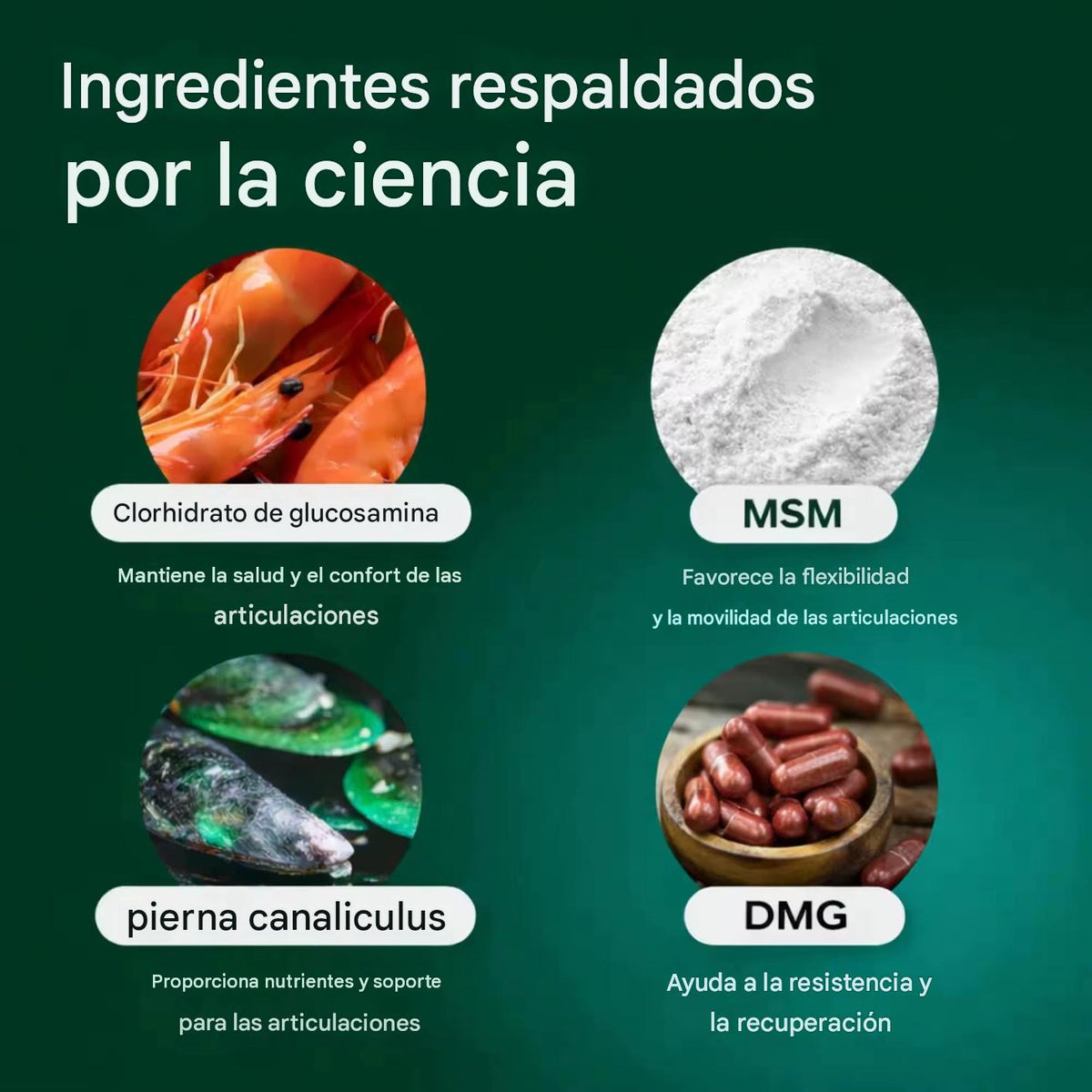 Tu Perro No Se Queja del Dolor... Pero Su Cuerpo Sí