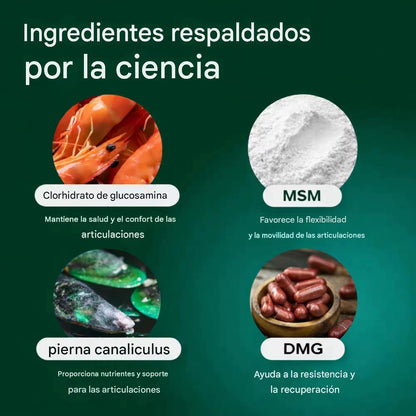 Tu Perro No Se Queja del Dolor... Pero Su Cuerpo Sí