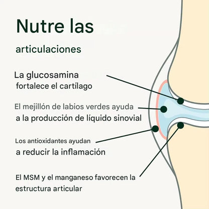 Tu Perro No Se Queja del Dolor... Pero Su Cuerpo Sí
