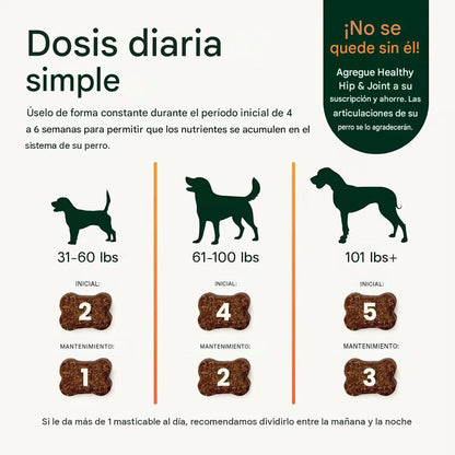 Tu Perro No Se Queja del Dolor... Pero Su Cuerpo Sí