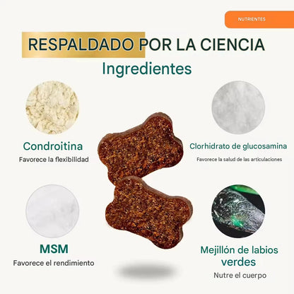 Tu Perro No Se Queja del Dolor... Pero Su Cuerpo Sí