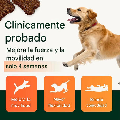 Tu Perro No Se Queja del Dolor... Pero Su Cuerpo Sí
